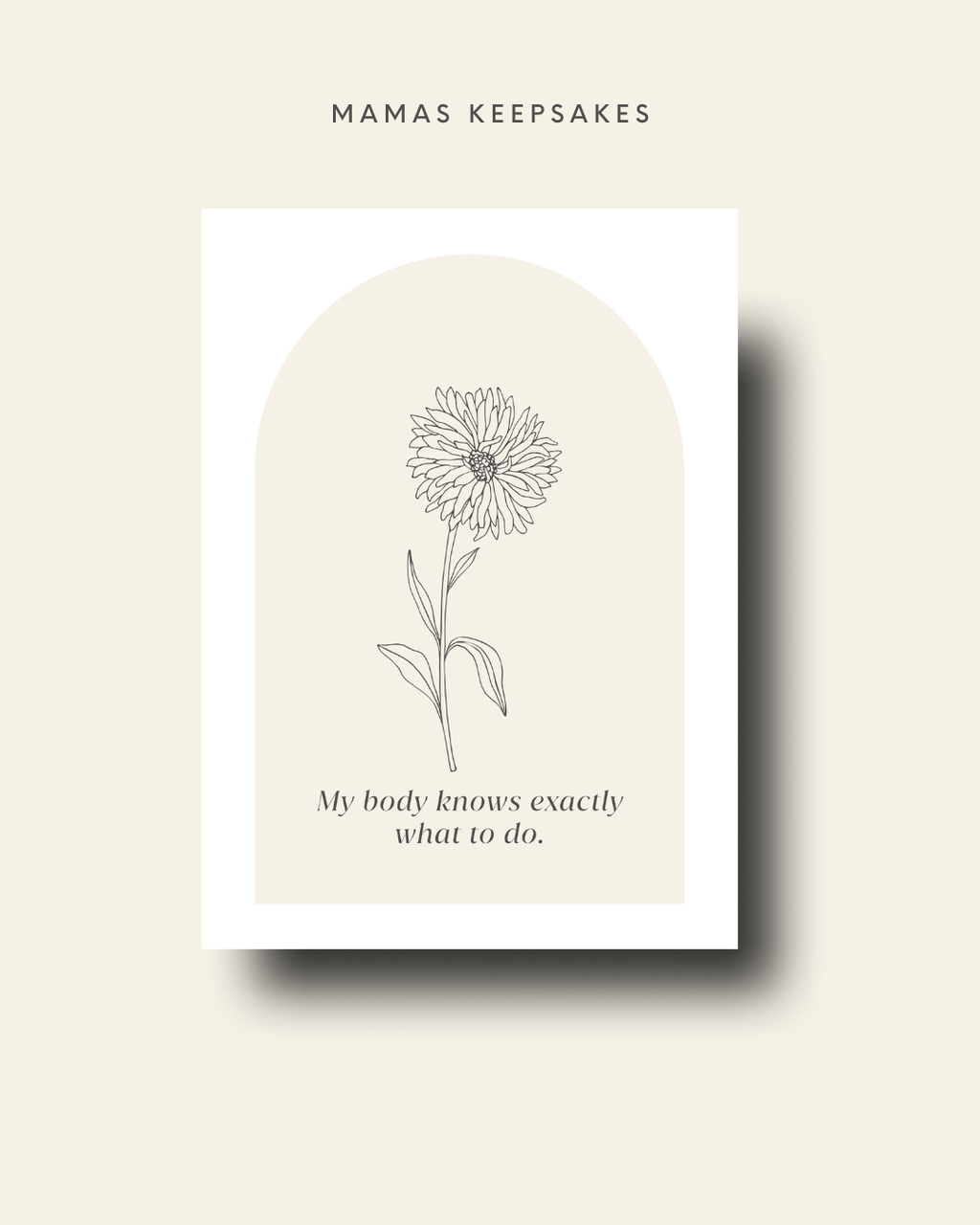 Birth Affirmation Card Pack